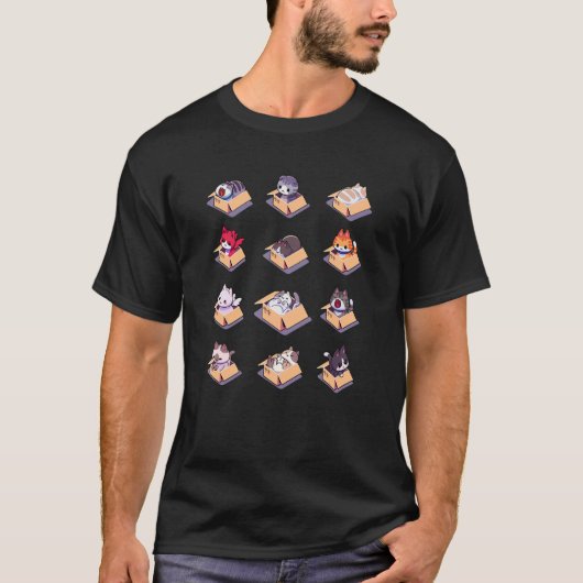 猫箱に入れた猫 Tシャツ (正面)