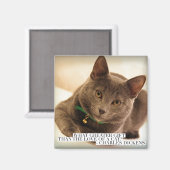 猫素晴らし好きより何の贈り物？ マグネット (正面/裏面)