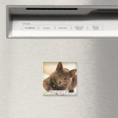 猫素晴らし好きより何の贈り物？ マグネット (インサイチュ (食洗機))