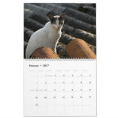 猫素朴と子猫2枚のウォールカレンダー – HAMbyWG カレンダー (2月 2027)