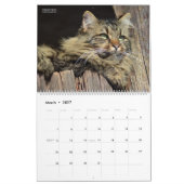 猫素朴と子猫2枚のウォールカレンダー – HAMbyWG カレンダー (3月 2027)