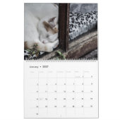 猫素朴と子猫2枚のウォールカレンダー – HAMbyWG カレンダー (1月 2027)