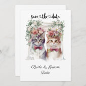 猫結婚と花婿 セーブザデート (正面/裏面)