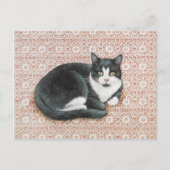 猫絵を描製葉書 ポストカード (正面)