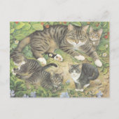 猫絵を描製葉書 ポストカード (正面)