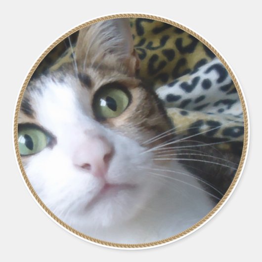 猫緑の目 – 丸いステッカー ラウンドシール (正面)