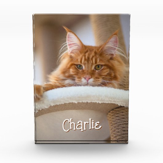 猫縦ポートレート写真可愛いフォント名 フォトブロック (正面)