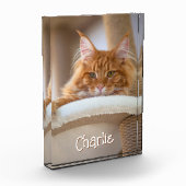 猫縦ポートレート写真可愛いフォント名 フォトブロック (左)