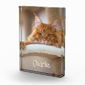 猫縦ポートレート写真可愛いフォント名 フォトブロック (右)