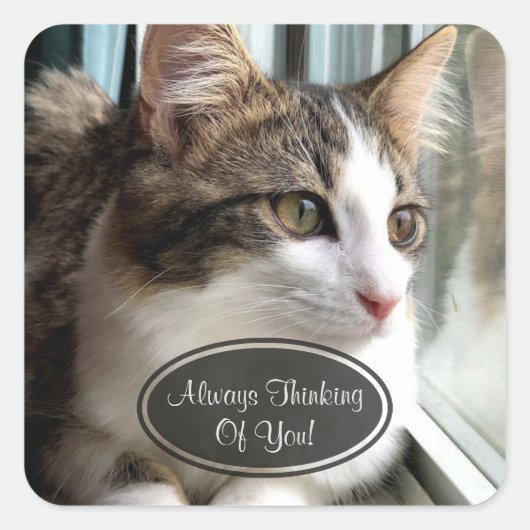 猫考えのステッカー スクエアシール (正面)