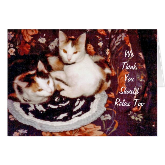 猫考えるカード (正面横)