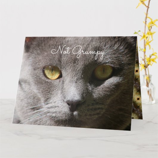 猫考えカード カード (黄色い花)