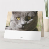 猫考えカード カード (裏面)