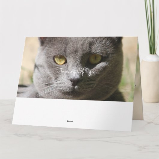 猫考えカード カード (裏面)