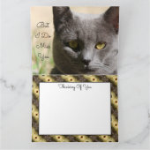 猫考えカード カード (内部)