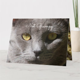 猫考えカード カード