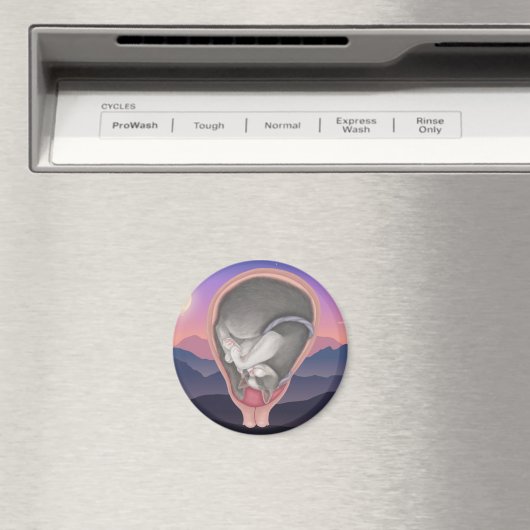 猫胎児 マグネット (インサイチュ (食洗機))