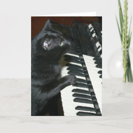 猫臓器後頭部 カード