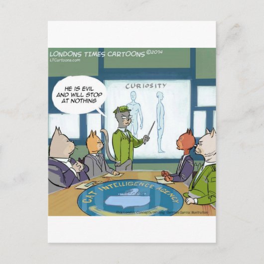 猫自然おもしろい敵 ポストカード (正面)