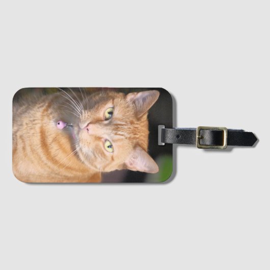 猫自転車トランプ ラゲッジタグ (正面横)