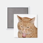 猫舌 マグネット (正面/裏面)