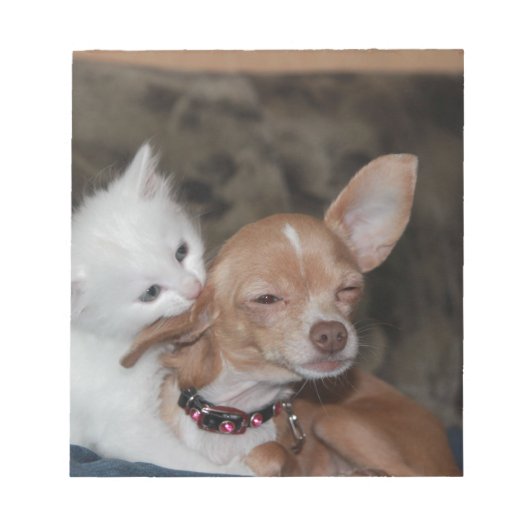 猫舐める犬 ノートパッド (正面)