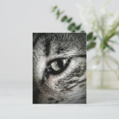 猫芸術的の目 ポストカード (スタンド正面)
