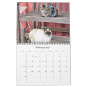 猫芸術的撮影カレンダー カレンダー (2月 2027)