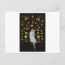 猫葉及び写真用はがき ポストカード