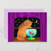 猫葉書 ポストカード (正面/裏面)