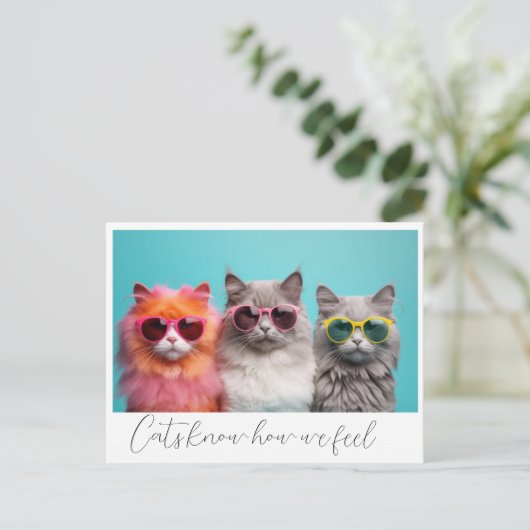 猫葉書 ポストカード (スタンド正面)