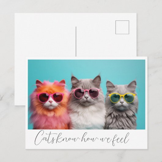 猫葉書 ポストカード (正面/裏面)