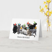 猫被りパーティー帽子誕生日カード カード (黄色い花)