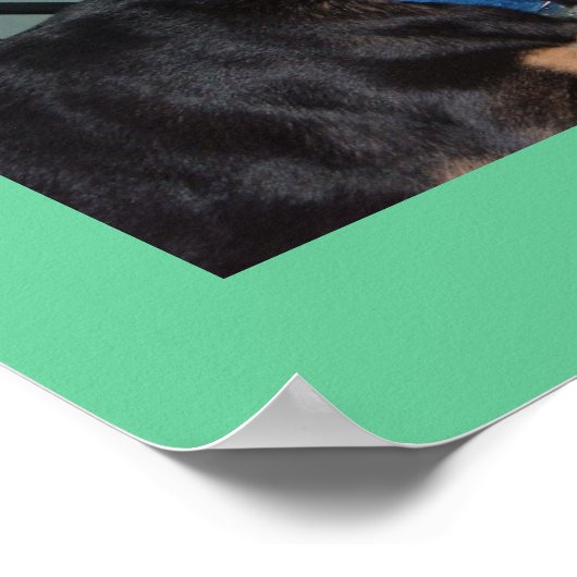 猫親善ポスター ポスター (角)