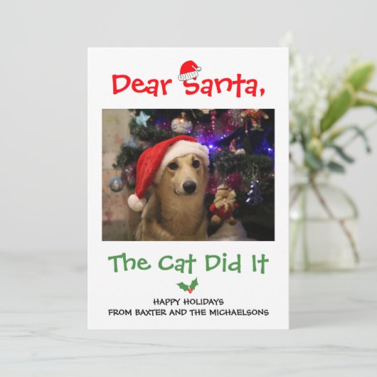 猫親愛のサンタがペットの写真をおもしろい撮った シーズンカード (スタンド正面)