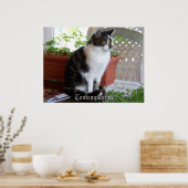 猫観想ポスター ポスター (キッチン)