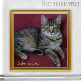 猫記念写真枠磁石 マグネット