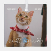 猫記念永久ハート写真と名前 ガラスオーナメント (裏面)