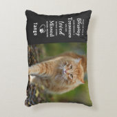 猫記念記念ギフト悔やみや弔慰 – ペットロス アクセントクッション (正面(垂直))
