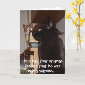 猫誕生日おもしろいカード「監視中」 カード (黄色い花)