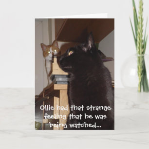 猫誕生日おもしろいカード「監視中」 カード