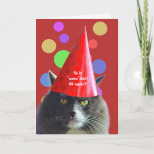 猫誕生日おもしろい29再び不機嫌な猫 カード