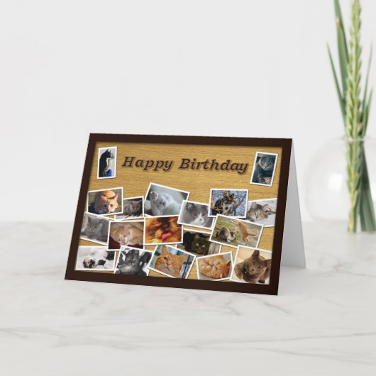 猫誕生日カード カード (正面)