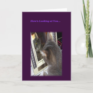 猫誕生日カード カード