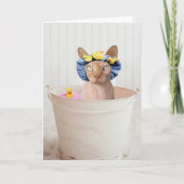 猫誕生日カード(ヘアレスおもしろい) カード (正面)