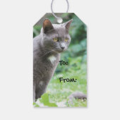 猫誕生日スタイリッシュギフトラベル ギフトタグ (裏面)