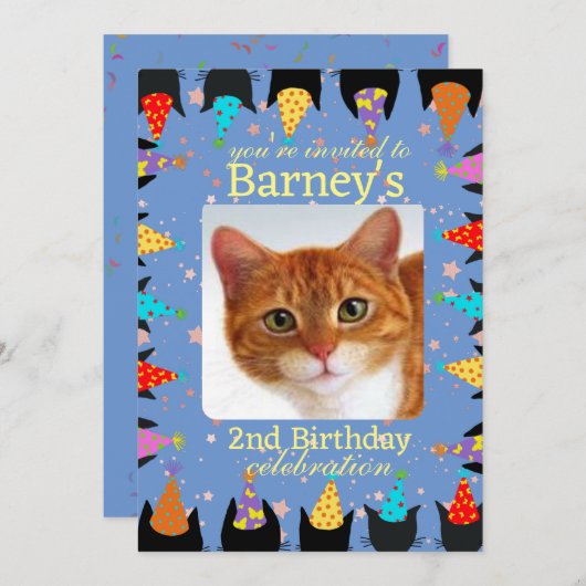 猫誕生日パーティフォト招待状 招待状 (正面/裏面)