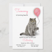 猫誕生日パーティーの招待状 招待状 (正面)