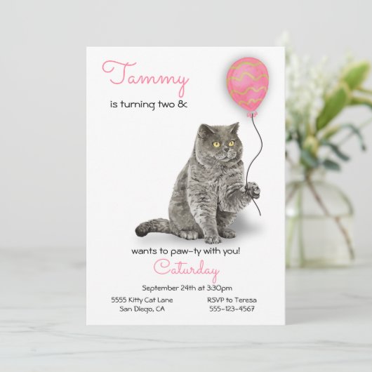 猫誕生日パーティーの招待状 招待状 (スタンド正面)