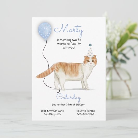 猫誕生日パーティーの招待状 招待状 (スタンド正面)
